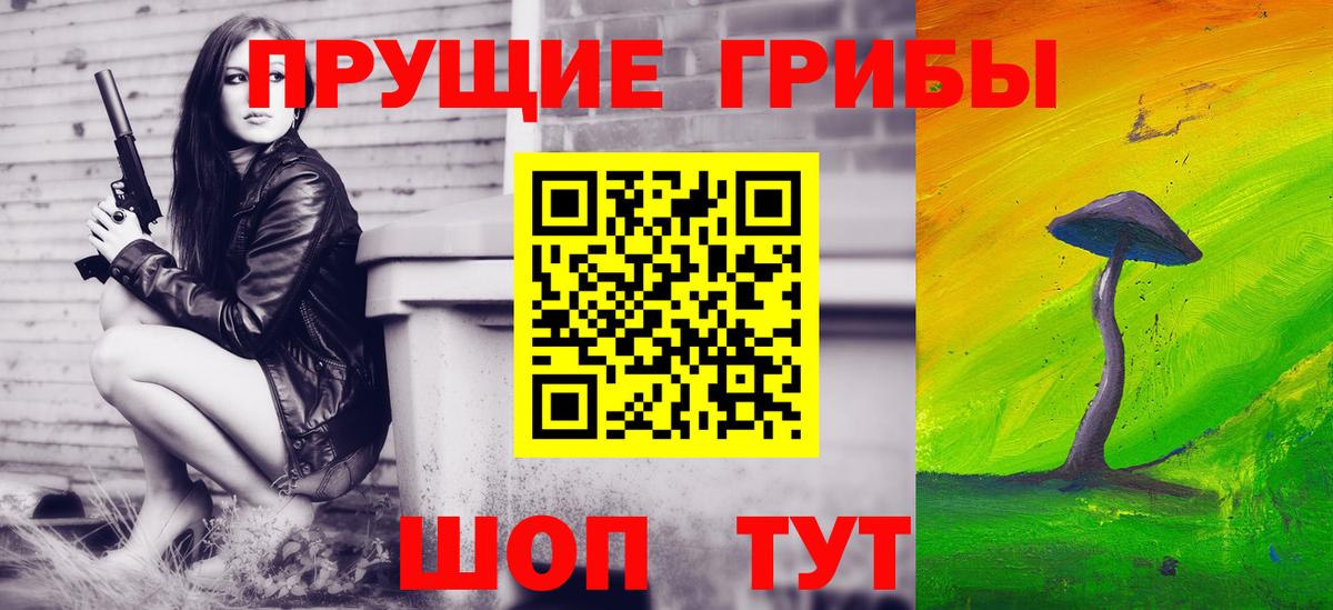 как найти наркотики  Вход с VPN  Новоалтайск  Псилоцибиновые грибы мухоморы 